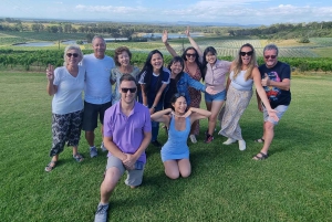 Da Sydney: Tour di gruppo della Hunter Valley con birra e vino