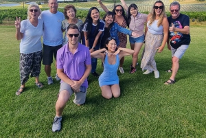 Da Sydney: Tour di gruppo della Hunter Valley con birra e vino