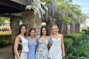 Da Sydney: Tour di gruppo della Hunter Valley con birra e vino