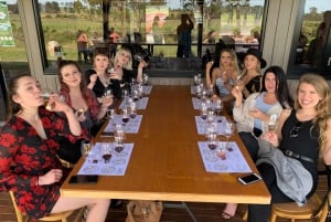 From Sydney: Hunter Valley Beer & Wine Small Group Tour