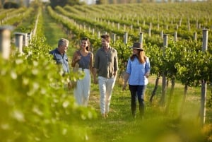 From Sydney: Hunter Valley Boutique Wine Tasting Tour