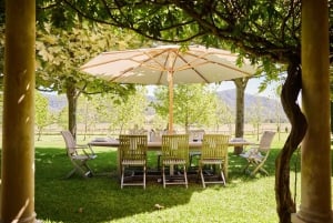 From Sydney: Hunter Valley Boutique Wine Tasting Tour
