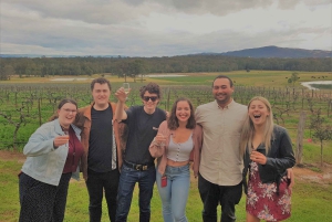 シドニー発：ランチ付きハンター バレー マルチ ブリュワリー ツアー