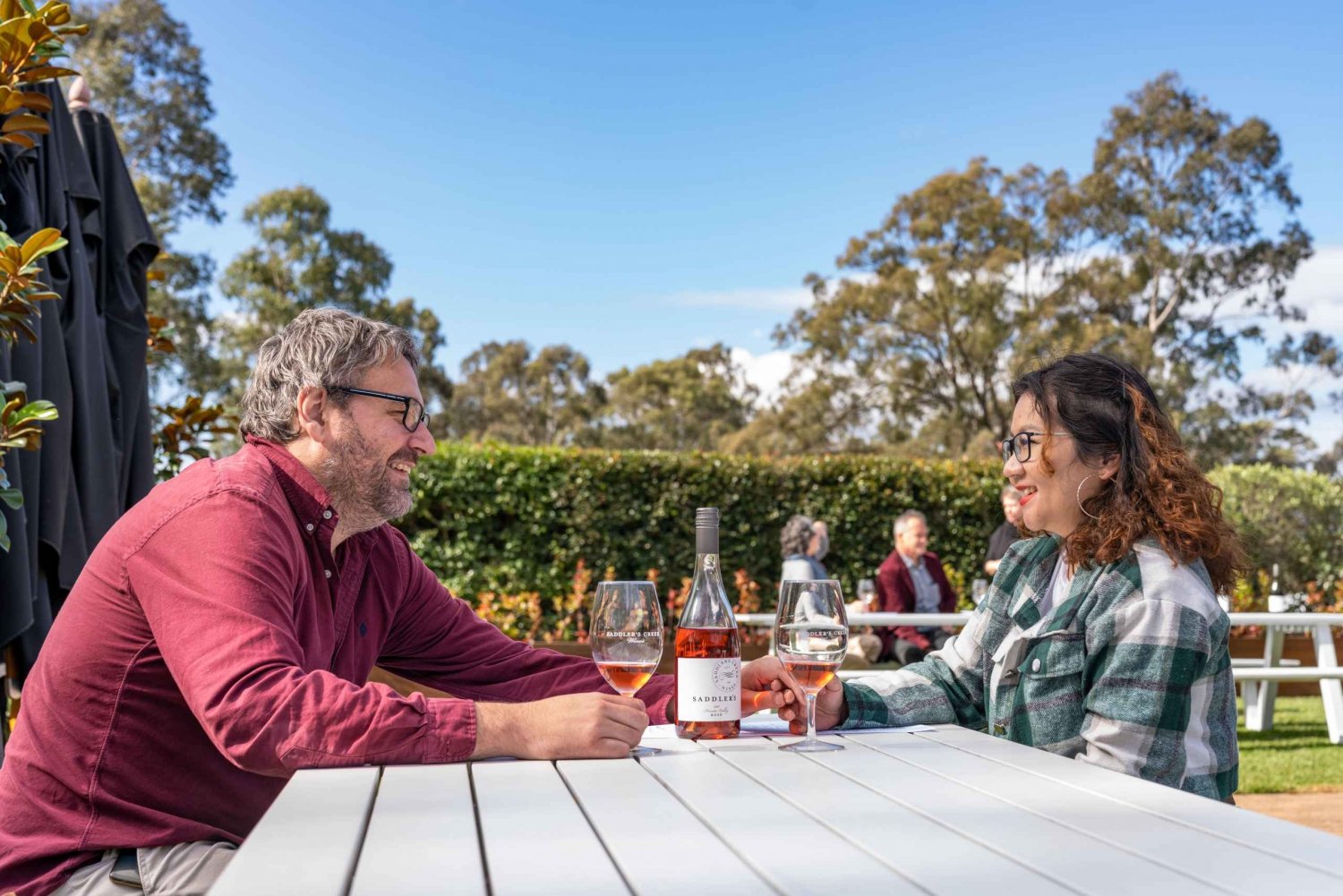 Da Sydney: Tour di degustazione dei vini e dei formaggi della Hunter Valley