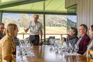 Da Sydney: Tour di degustazione dei vini e dei formaggi della Hunter Valley