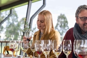 Z Sydney: Degustacja wina i sera w dolinie Hunter