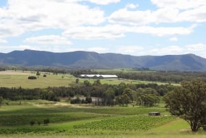 Vanuit Sydney: Wijn- en kaasproeverij in Hunter Valley