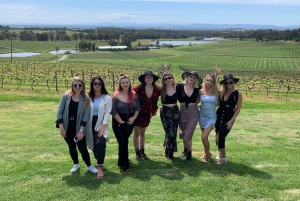 From Sydney: Hunter Valley Wine, Gin, & Food Tastings Tour