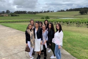 From Sydney: Hunter Valley Wine/Spirit Tasting Tour & Lunch