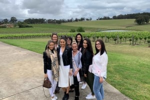 Fra Sydney: Vin- og spiritussmagningstur og frokost i Hunter Valley