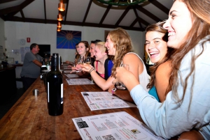 Da Sydney: Tour di degustazione di vini e distillati della Hunter Valley e pranzo