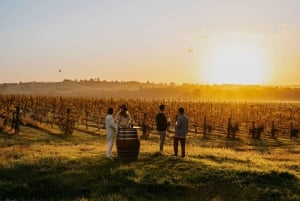 Fra Sydney: Heldags vintur i Hunter Valley med lunsj