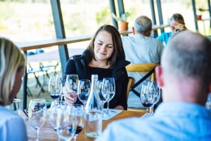 Fra Sydney: Heldags vintur i Hunter Valley med lunsj