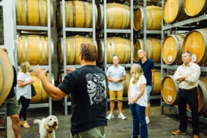 Da Sydney: Tour di degustazione dei vini della Hunter Valley con pranzo