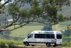 From Sydney: Hunter Valley Wine Tour with Cheese Tasting