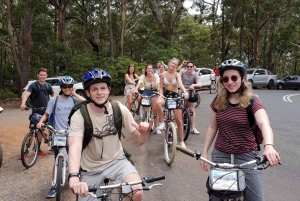 From Sydney: Jervis Bay Day Trip with Cycling + Hyams Beach