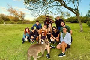 From Sydney: Jervis Bay, Kiama & South Coast Day Tour