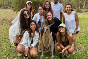 From Sydney: Jervis Bay, Kiama & South Coast Day Tour