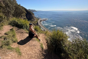 From Sydney: Jervis Bay, Kiama & South Coast Day Tour