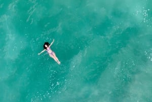 Sydneystä: Jervis Bay, Kiama ja etelärannikko – matkapäivä