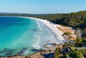 Sydneystä: Jervis Bay, Kiama ja etelärannikko – matkapäivä
