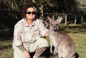 Sydneystä: Jervis Bay, Kiama ja etelärannikko – matkapäivä