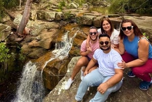 Sydneystä: Jervis Bay, Kiama ja etelärannikko – matkapäivä