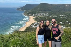 Sydneystä: Jervis Bay, Kiama ja etelärannikko – matkapäivä