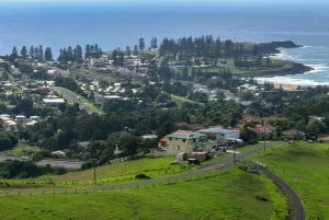 Desde Sidney Kiama y Costa Sur Tour Privado