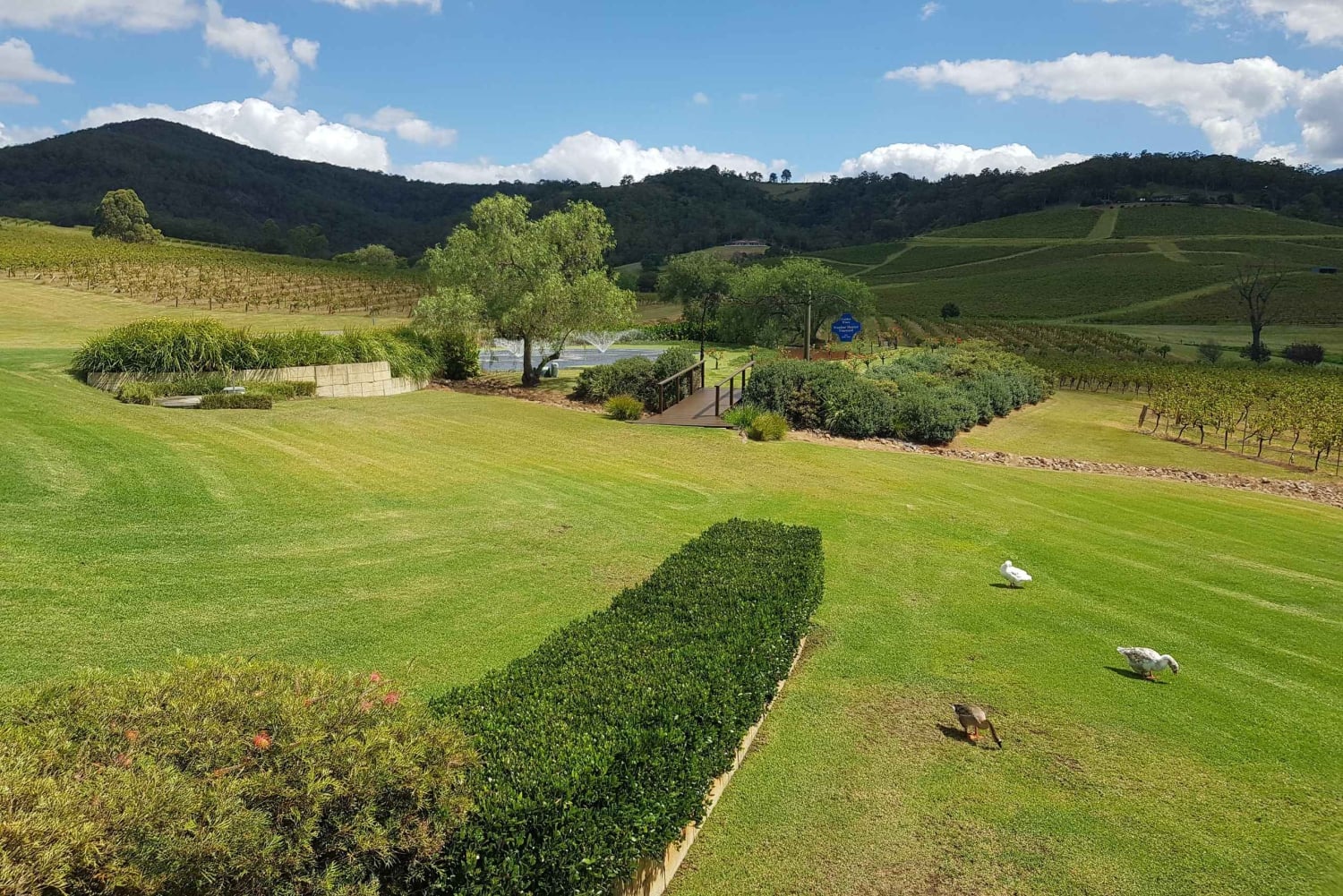 Von Sydney aus: Luxuriöse Hunter Valley Privat Tour