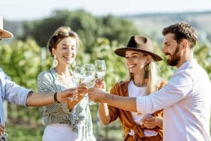 Von Sydney aus: Luxuriöse Hunter Valley Privat Tour