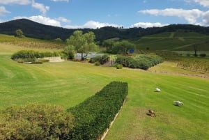 Von Sydney aus: Luxuriöse Hunter Valley Privat Tour