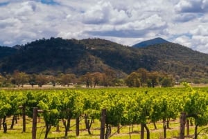 Von Sydney aus: Luxuriöse Hunter Valley Privat Tour