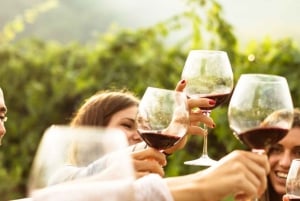 Von Sydney aus: Luxuriöse Hunter Valley Privat Tour