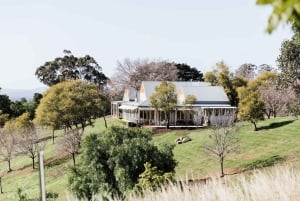 From Sydney: Luxury Hunter Valley Wine Tour with Fine Dining