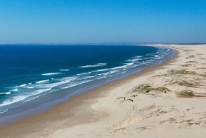 From Sydney: Port Stephens, Anna Bay, Sandboarding & Hike