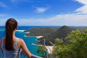 From Sydney: Port Stephens Day Trip