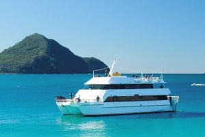 Sydney : Croisière pour les dauphins et les koalas de Port Stephens - Mandarin