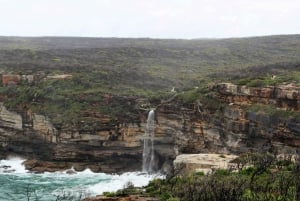 Private Day Trip to the Royal National Park