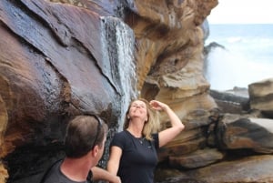 Z Sydney: Prywatna jednodniowa wycieczka do Królewskiego Parku Narodowego