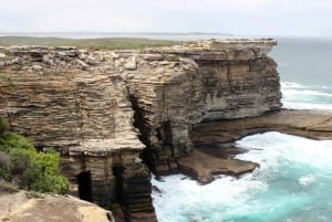 Private Day Tour of the Royal National Park