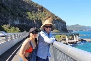 Private Day Trip to the Royal National Park