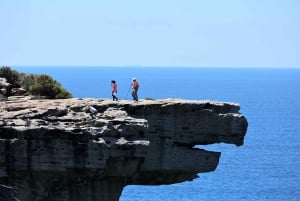 Desde Sydney: Excursión privada de un día al Parque Nacional Real