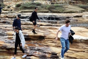 From Sydney: Private Day Trip to the Royal National Park
