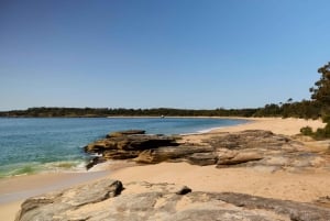 Z Sydney: Prywatna wycieczka do Królewskiego Parku Narodowego