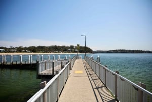 Z Sydney: Prywatna wycieczka do Królewskiego Parku Narodowego