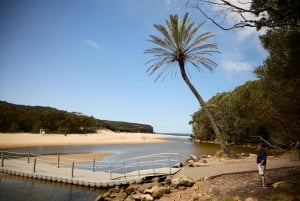 Da Sydney: Tour privato del Parco Nazionale Reale