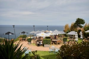 Da Sydney: Tour privato del Parco Nazionale Reale