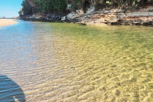 From Sydney: Royal National Park, Wollongong, and Kiama Tour