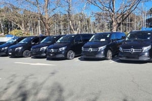 Von Sydney aus: Transfers für besondere Veranstaltungen, Festivals oder Konferenzen